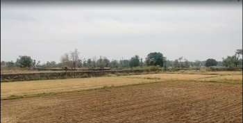 Agricultural/Farm Land for Sale in Salumbar, Udaipur (65 Bigha)
