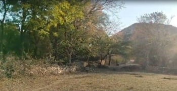 Agricultural/Farm Land for Sale in Debari, Udaipur (2.80 Bigha)