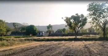 Agricultural/Farm Land for Sale in Debari, Udaipur (5 Bigha)