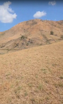 Agricultural/Farm Land for Sale in Kumbhalgarh, Rajsamand (50 Bigha)