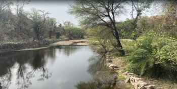 Agricultural/Farm Land for Sale in Debari, Udaipur (5 Bigha)