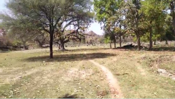 Agricultural/Farm Land for Sale in Iswal, Udaipur (50 Bigha)