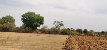 Agricultural/Farm Land for Sale in Dabok, Udaipur (6.18 Bigha)