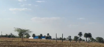 Agricultural/Farm Land for Sale in Bhatewar, Udaipur (6 Bigha)