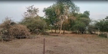 Agricultural/Farm Land for Sale in Dabok, Udaipur (3 Bigha)
