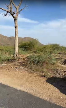 Agricultural/Farm Land for Sale in Kewda Khurd, Udaipur (100000 Sq.ft.)