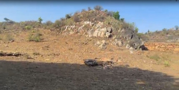 Agricultural/Farm Land for Sale in Chirva Ghata, Udaipur (19 Bigha)