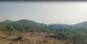 Agricultural/Farm Land for Sale in Chirva Ghata, Udaipur (50 Bigha)