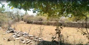Agricultural/Farm Land for Sale in Chirva Ghata, Udaipur (6 Bigha)