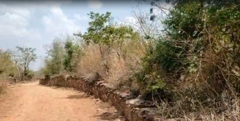 Agricultural/Farm Land for Sale in Chirva Ghata, Udaipur (75000 Sq.ft.)