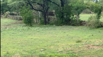 9.50 Bigha Agricultural/Farm Land for Sale in Mavli, Udaipur