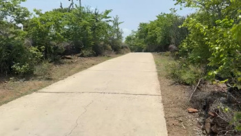 Agricultural/Farm Land for Sale in Subhash Nagar, Udaipur (100 Bigha)