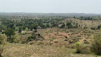 Agricultural/Farm Land for Sale in Kurabad, Udaipur (60 Bigha)