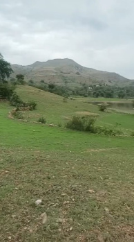 Agricultural/Farm Land for Sale in Gogunda, Udaipur (10 Bigha)