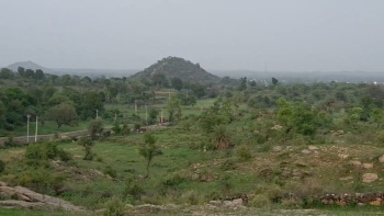Agricultural/Farm Land for Sale in Kurabad, Udaipur (27.75 Bigha)