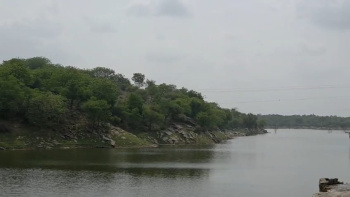 Agricultural/Farm Land for Sale in Nathdwara, Rajsamand (37 Bigha)