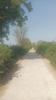 Agricultural/Farm Land for Sale in Dabok, Udaipur (2.50 Bigha)