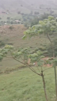 Agricultural/Farm Land for Sale in Kumbhalgarh, Rajsamand (6.5 Bigha)