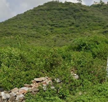 17 Bigha Agricultural/Farm Land for Sale in Dabok, Udaipur