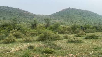 16 Bigha Agricultural/Farm Land for Sale in Sakroda, Udaipur