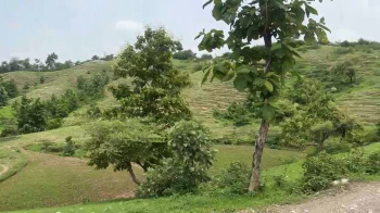 Agricultural/Farm Land for Sale in Kherwara Chhaoni, Udaipur (21 Bigha)