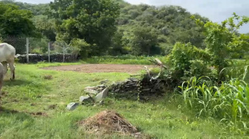 Agricultural/Farm Land for Sale in Nathdwara, Rajsamand (15 Bigha)