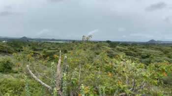 Agricultural/Farm Land for Sale in Nathdwara, Rajsamand (8.75 Bigha)