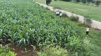 Agricultural/Farm Land for Sale in Rajsamand (8 Bigha)