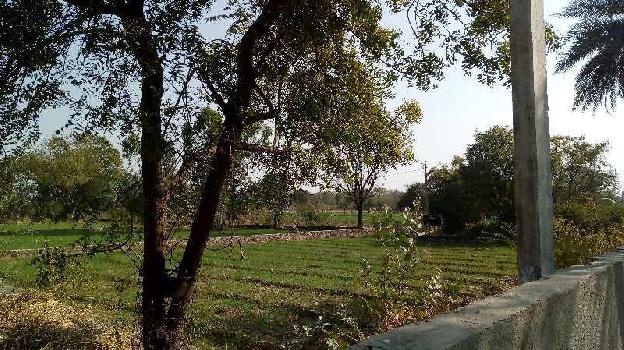 Agricultural/Farm Land for Sale in Bhatewar, Udaipur (100 Bigha)