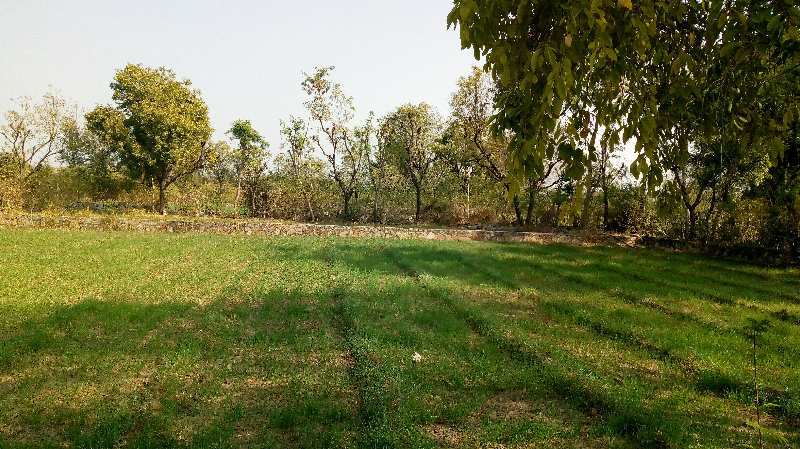 Agricultural/Farm Land for Sale in Dabok, Udaipur (148838 Sq.ft.)