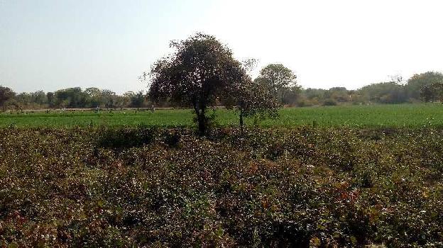 Agricultural/Farm Land for Sale in Dabok, Udaipur (348480 Sq.ft.)