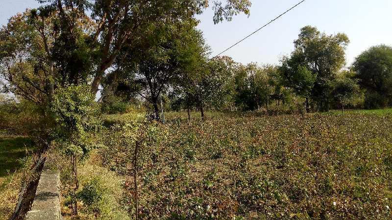 Agricultural/Farm Land for Sale in Dabok, Udaipur (4.10 Bigha)