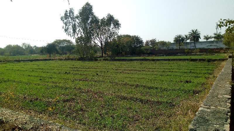 Agricultural/Farm Land for Sale in Dabok, Udaipur (125 Bigha)