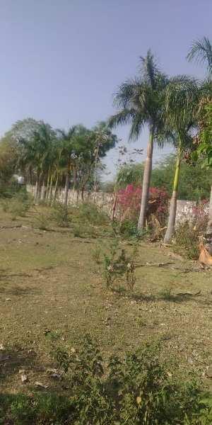 Agricultural/Farm Land for Sale in Dabok, Udaipur (16 Bigha)