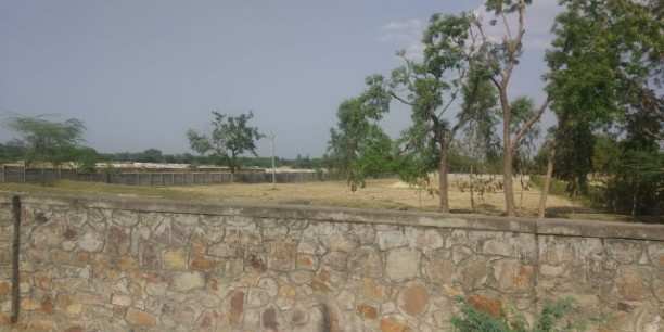 Agricultural/Farm Land for Sale in Dabok, Udaipur (16 Bigha)