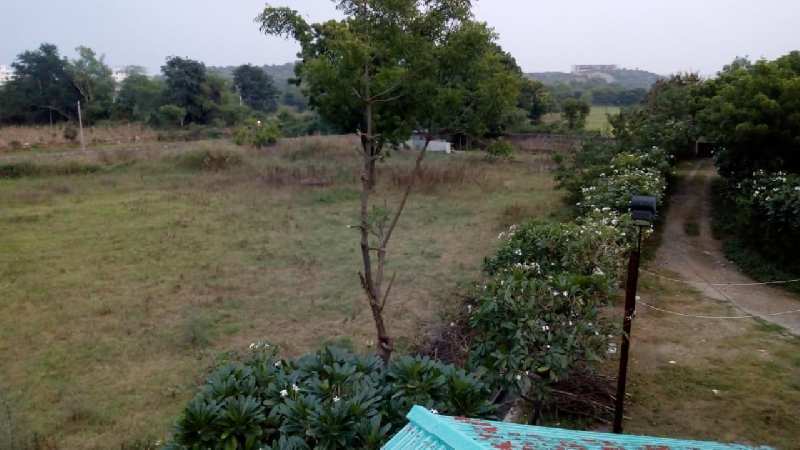 69768 Sq.ft. Agricultural/Farm Land for Sale in Kodiyat, Udaipur