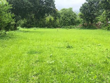 5 Bigha Agricultural/Farm Land for Sale in Dabok, Udaipur
