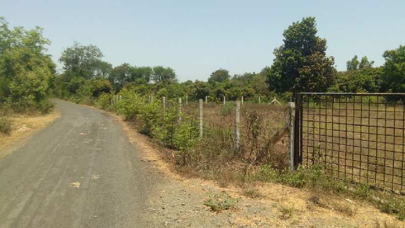 5 Bigha Agricultural/Farm Land for Sale in Dabok, Udaipur