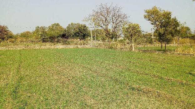9 Bigha Agricultural/Farm Land for Sale in Bhinder, Udaipur