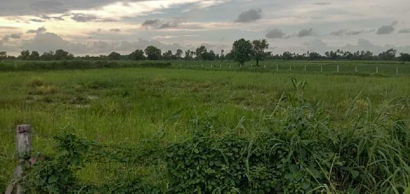 12 Bigha Agricultural/Farm Land for Sale in Dabok, Udaipur