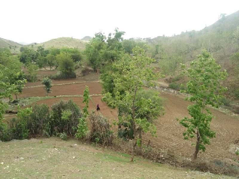 80 Bigha Agricultural/Farm Land for Sale in Dabok, Udaipur
