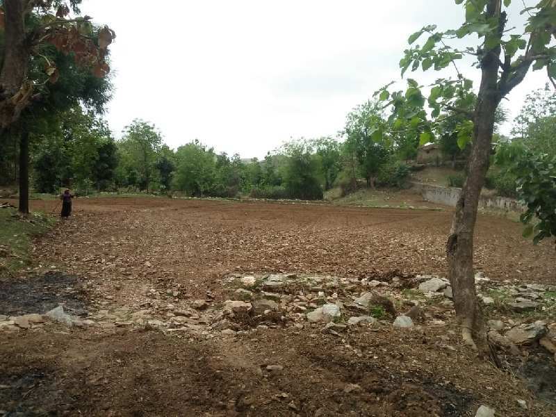 80 Bigha Agricultural/Farm Land for Sale in Dabok, Udaipur