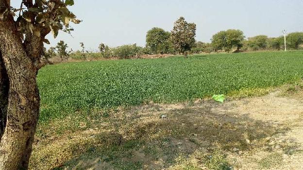 108140 Sq.ft. Agricultural/Farm Land for Sale in Bhinder, Udaipur