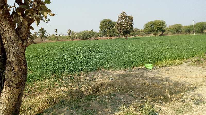 108140 Sq.ft. Agricultural/Farm Land for Sale in Bhinder, Udaipur