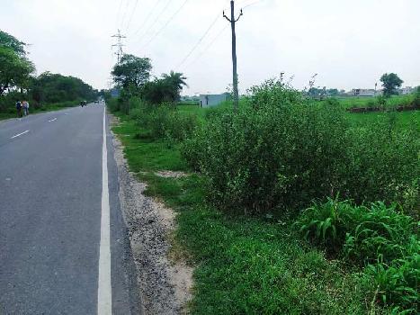 25 Bigha Agricultural/Farm Land for Sale in Salumbar, Udaipur