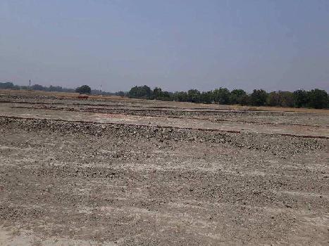 6 Bigha Agricultural/Farm Land for Sale in Dabok, Udaipur