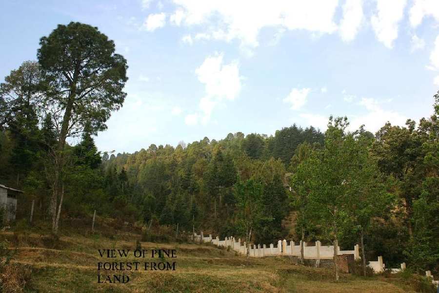 4 Acre Hotel & Restaurant for Sale in Kausani, Bageshwar
