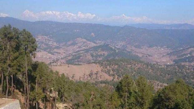 Residential Plot for Sale in Ranikhet, Almora (240 Sq. Yards)