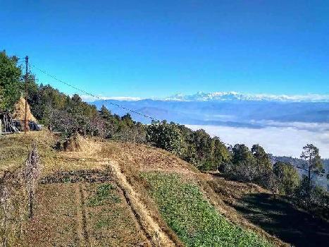 Agricultural/Farm Land for Sale in Ramnagar, Nainital