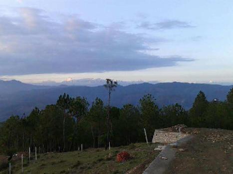 Residential Plot for Sale in Mukteshwar, Nainital (3360 Sq. Yards)